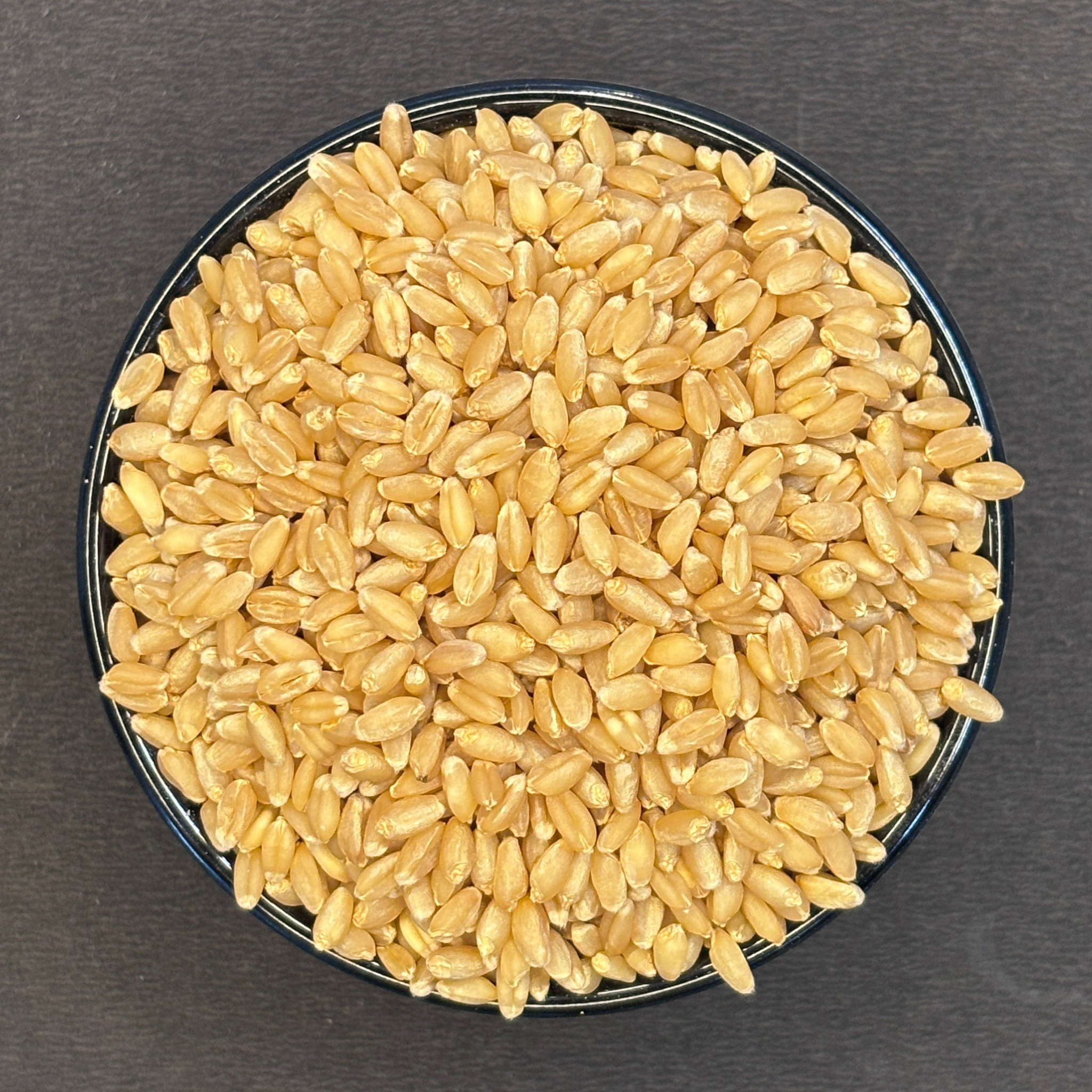 M.P Lokone Wheat